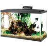 Aqueon LED Aquarium