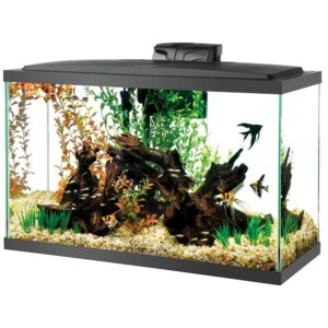Aqueon LED Aquarium