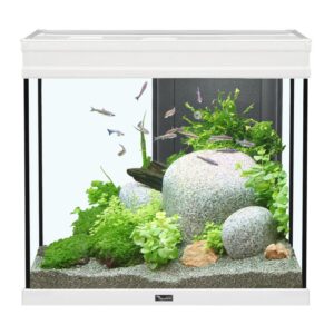 Aquatlantis Elegance Expert 60 Aquarium UK