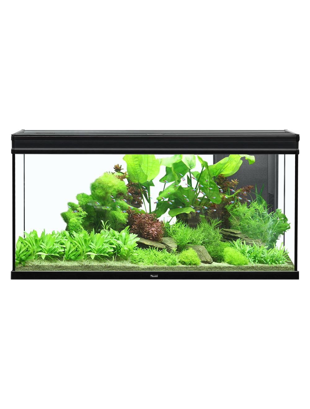 Aquatlantis Elegance Expert 120 Aquarium UK 1 Aquatlantis Elegance Expert