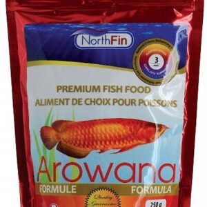 Northfin arowana food
