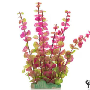 GiganAqua Plant with base 24cm