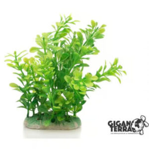 GiganAqua Plant with base 12cm