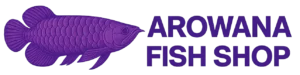 arowana fish price