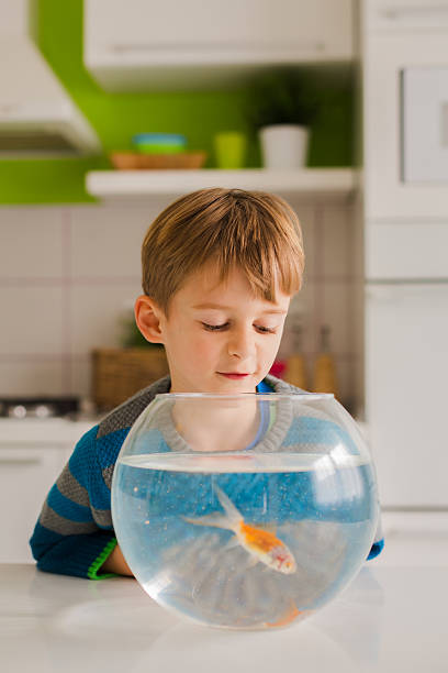 Trusted Arowana Breeders