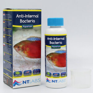 NT Labs Anti Internal Bacteria