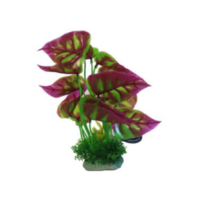 Betta Choice 8″ Green and Pink Plant